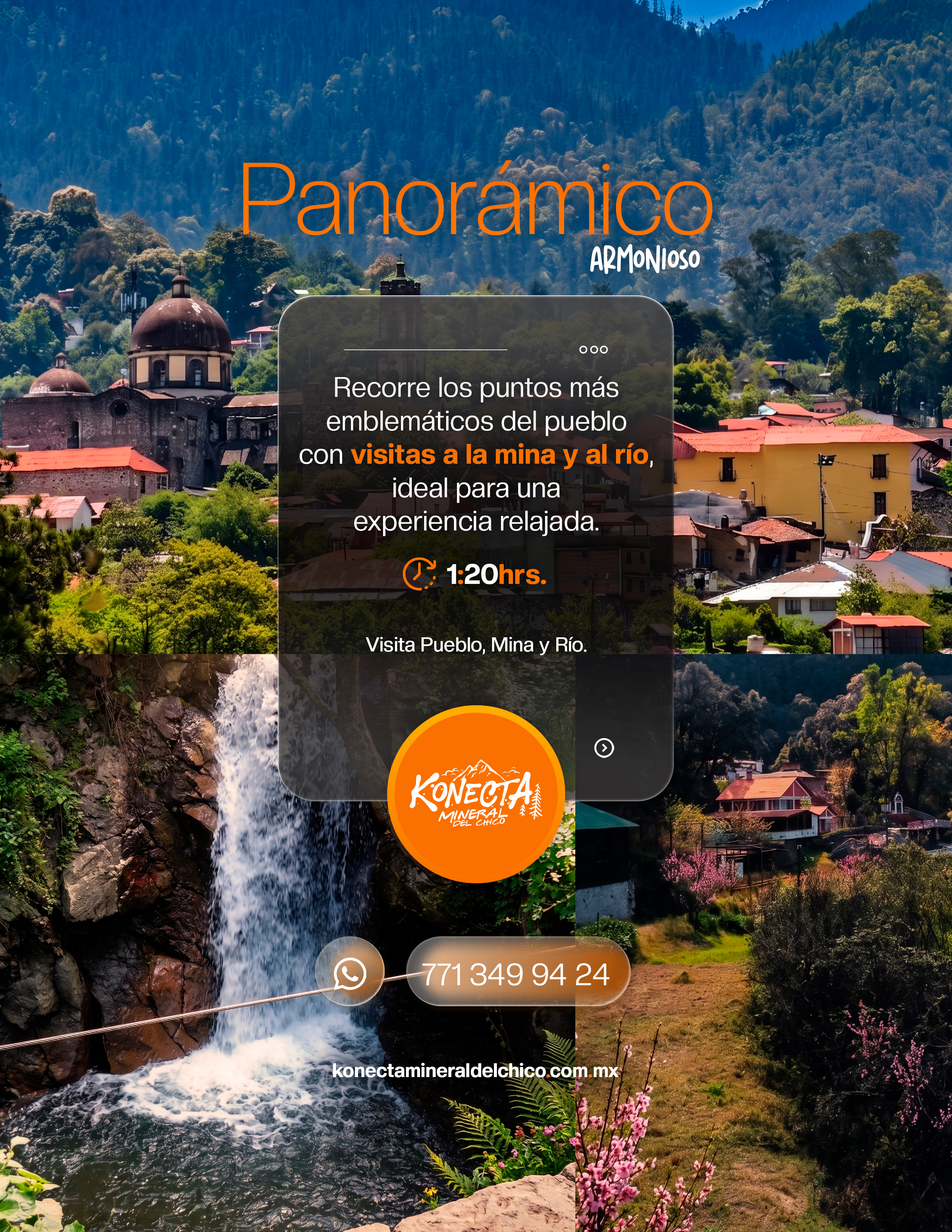 Tour Panoramico Armonioso